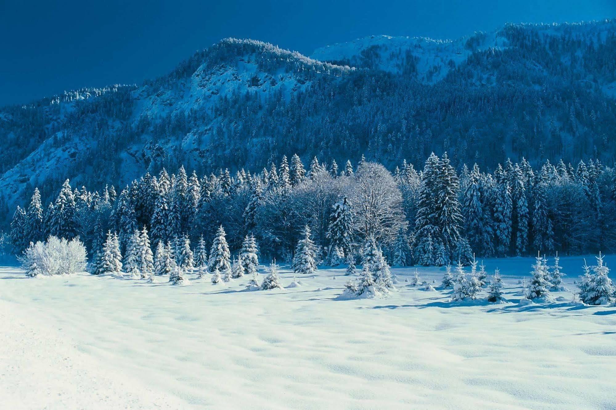 Kurhotel Rupertus Bad Reichenhall Dış mekan fotoğraf